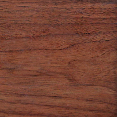 Walnut medium coloured