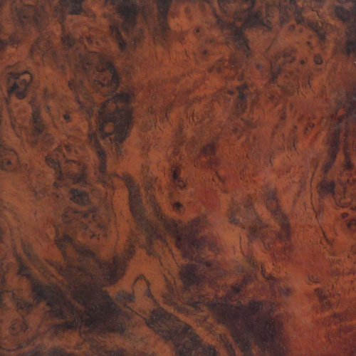 Burl walnut